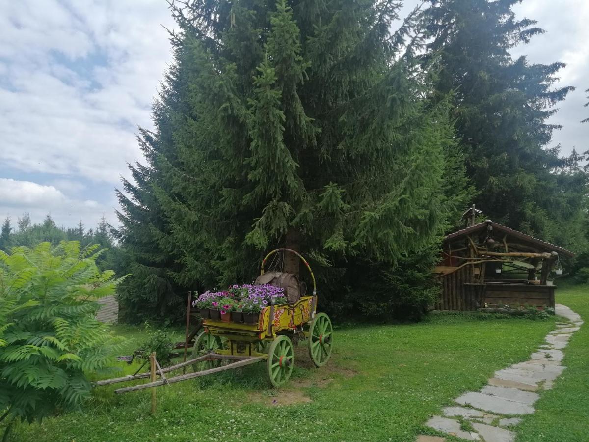"Моето Любимо Място", Смолянски Езера - "My Favorite Place", Smolyan Lakes Luaran gambar