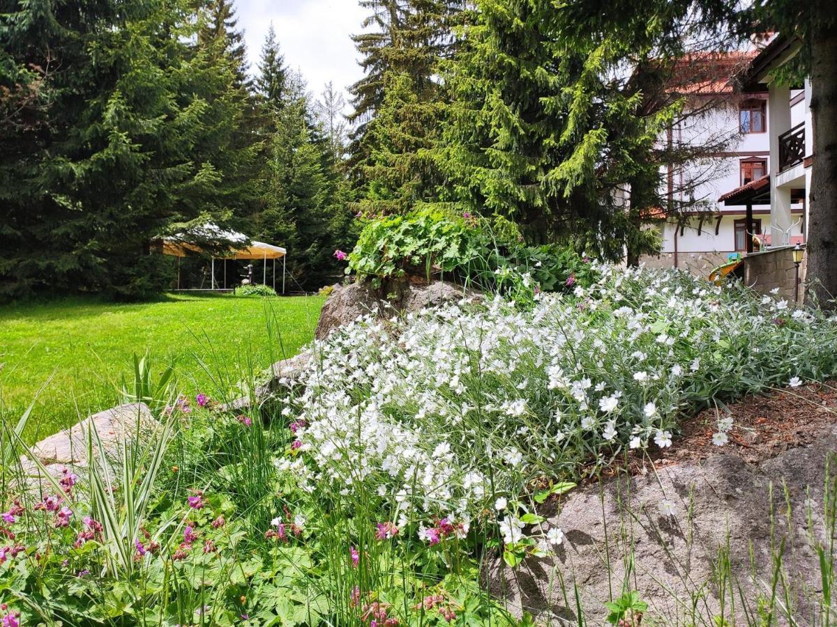 "Моето Любимо Място", Смолянски Езера - "My Favorite Place", Smolyan Lakes Luaran gambar