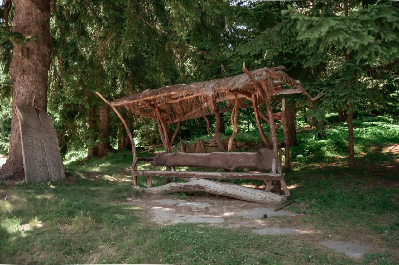 "Моето Любимо Място", Смолянски Езера - "My Favorite Place", Smolyan Lakes Luaran gambar