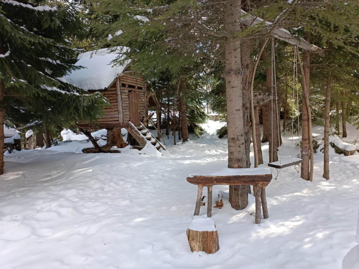 "Моето Любимо Място", Смолянски Езера - "My Favorite Place", Smolyan Lakes Luaran gambar