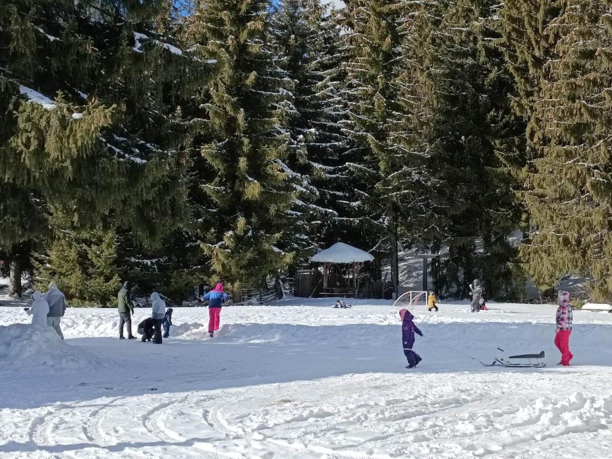 "Моето Любимо Място", Смолянски Езера - "My Favorite Place", Smolyan Lakes Luaran gambar